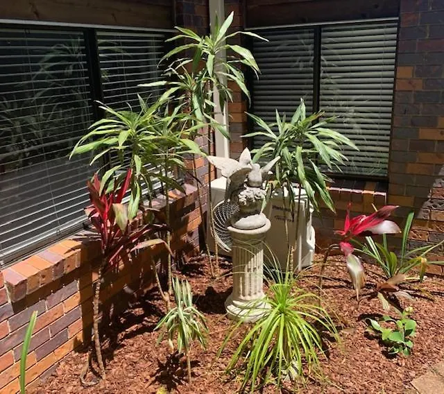Montville Holiday Apartments Aparthotel